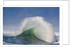 Wave Curl in Winter Storm by Anonymous