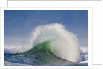 Wave Curl in Winter Storm by Anonymous