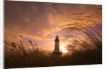 Yaquina Head Lighthouse at Sunset by Anonymous