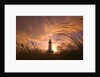 Yaquina Head Lighthouse at Sunset by Anonymous