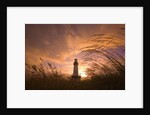 Yaquina Head Lighthouse at Sunset by Anonymous