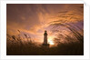 Yaquina Head Lighthouse at Sunset by Anonymous