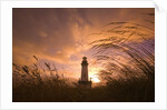 Yaquina Head Lighthouse at Sunset by Anonymous