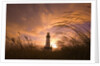 Yaquina Head Lighthouse at Sunset by Anonymous