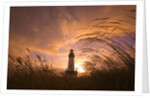 Yaquina Head Lighthouse at Sunset by Anonymous