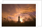 Yaquina Head Lighthouse at Sunset by Anonymous