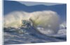 Wave Curl in Winter Storm by Anonymous