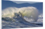 Wave Curl in Winter Storm by Anonymous