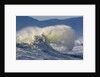 Wave Curl in Winter Storm by Anonymous