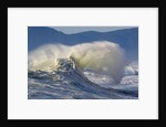 Wave Curl in Winter Storm by Anonymous