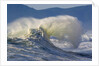 Wave Curl in Winter Storm by Anonymous