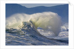 Wave Curl in Winter Storm by Anonymous