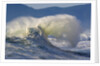 Wave Curl in Winter Storm by Anonymous