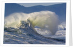 Wave Curl in Winter Storm by Anonymous