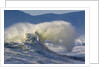 Wave Curl in Winter Storm by Anonymous