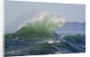Wave Curl in Winter Storm by Anonymous