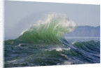 Wave Curl in Winter Storm by Anonymous