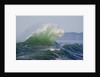 Wave Curl in Winter Storm by Anonymous