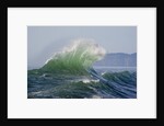 Wave Curl in Winter Storm by Anonymous