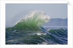 Wave Curl in Winter Storm by Anonymous