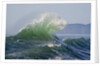 Wave Curl in Winter Storm by Anonymous