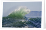 Wave Curl in Winter Storm by Anonymous