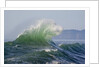 Wave Curl in Winter Storm by Anonymous