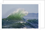 Wave Curl in Winter Storm by Anonymous