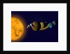 Solar System by Anonymous