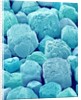 Table Salt by Anonymous
