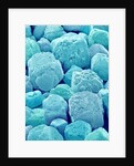 Table Salt by Anonymous