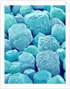 Table Salt by Anonymous