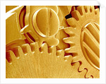 Watch Gears by Anonymous