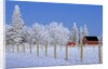 Farm in Winter by Anonymous