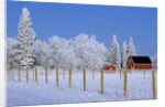Farm in Winter by Anonymous