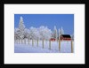 Farm in Winter by Anonymous