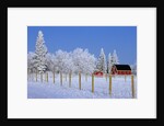 Farm in Winter by Anonymous
