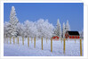Farm in Winter by Anonymous