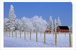 Farm in Winter by Anonymous