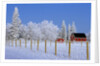 Farm in Winter by Anonymous