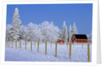 Farm in Winter by Anonymous