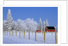 Farm in Winter by Anonymous