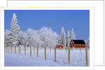 Farm in Winter by Anonymous