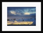 Mountains at Antarctic Peninsula by Anonymous