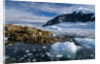 Mountains and Ice at Nekko Harbor by Anonymous