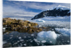 Mountains and Ice at Nekko Harbor by Anonymous