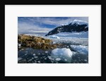 Mountains and Ice at Nekko Harbor by Anonymous