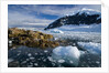 Mountains and Ice at Nekko Harbor by Anonymous