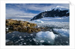 Mountains and Ice at Nekko Harbor by Anonymous