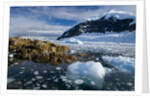 Mountains and Ice at Nekko Harbor by Anonymous